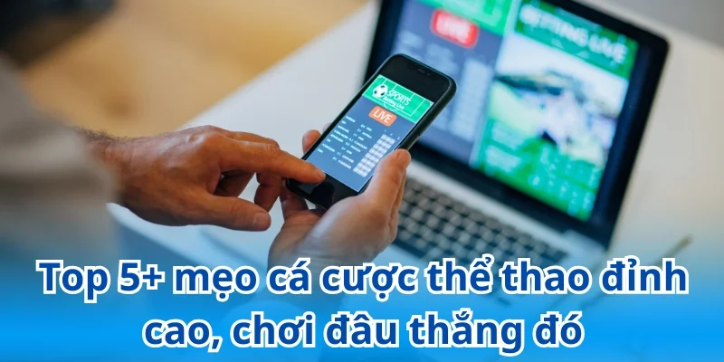 Thắng lớn với mẹo cá cược thể tha